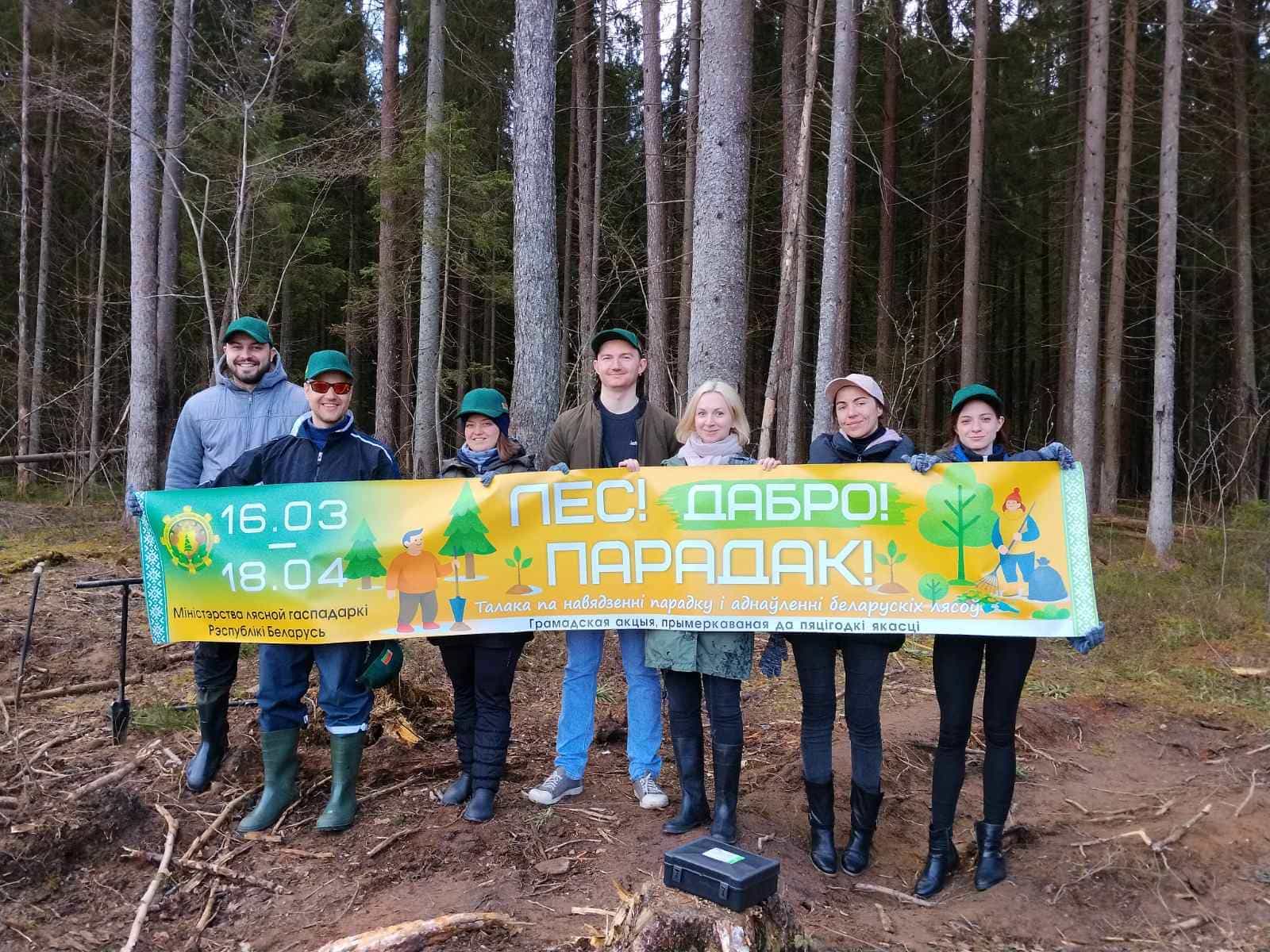 Посадка деревьев